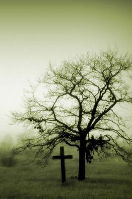 Arbre Brumeux et Croix