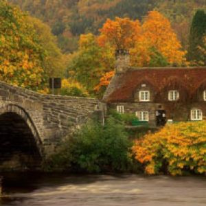 Paysage d'Automne avec Cottage