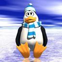 Pingouin Mignon en Hiver