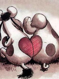 Vaches Mignonnes Amoureuses