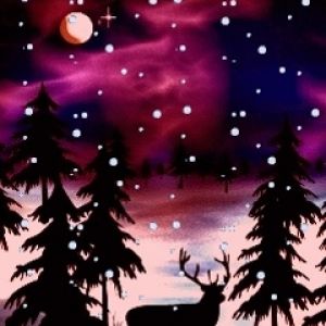 Nuit d'Hiver avec Cerf