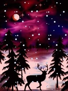 Nuit d'Hiver avec Cerf