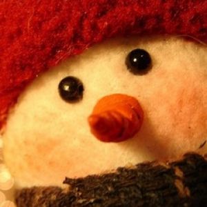 Joli Bonhomme de Neige