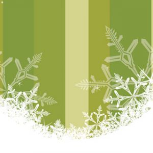 Flocons de Neige sur Fond Vert