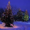 Sapin de Noël dans un paysage hivernal