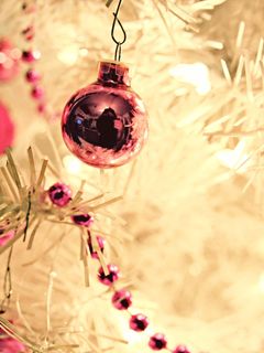 Ornement de Noël Rose