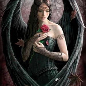 Ange Fantastique Sombre avec Rose