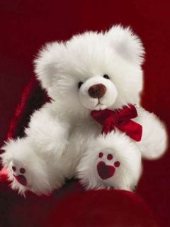 Ourson Blanc Mignon