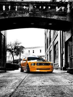 Mustang Orange Éclatant