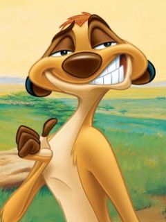 Timon du Roi Lion