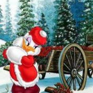 Canard de Noël Mignon
