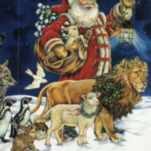 Père Noël avec Animaux
