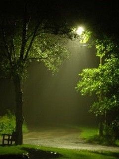 Paysage Nocturne Brumeux