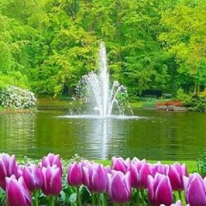 Belle Fontaine de Jardin