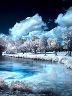 Paysage d'Hiver Serein