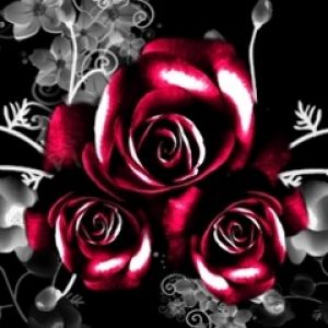 Roses Rouges Élégantes