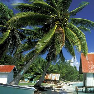 Paradis Tropical