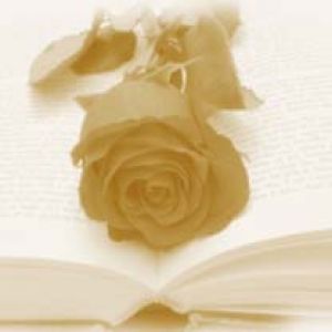 Rose sur Livre Ouvert