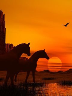 Silhouettes de Chevaux au Coucher de Soleil