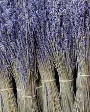 Bouquets de Lavande