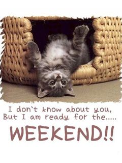 Chat Joueur Prêt pour le Week-end