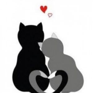Chats Mignons Amoureux