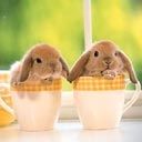 Lapins mignons dans des tasses
