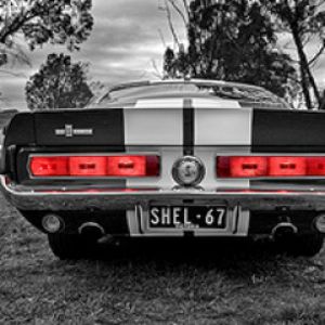Classique Shelby Mustang