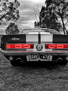 Classique Shelby Mustang