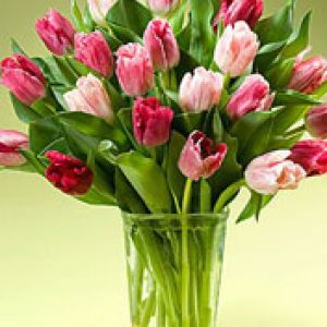Bouquet de Tulipes Colorées