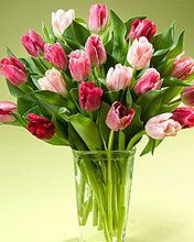 Bouquet de Tulipes Colorées