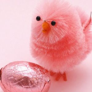 Joli Poussin Rose et Œuf