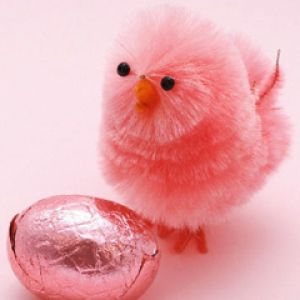 Poussin Rose et Œuf