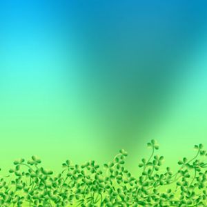 Fond Abstrait Vert Naturel
