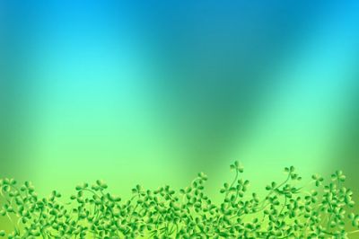Fond Abstrait Vert Naturel