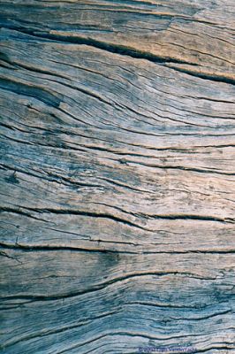 Texture de Bois