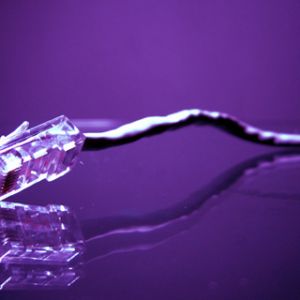 Câble Ethernet Violet