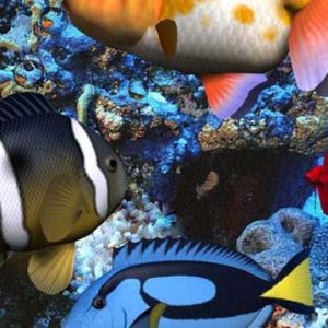 Poissons Colorés Sous-Marins