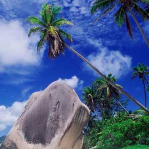 Paradis Tropical