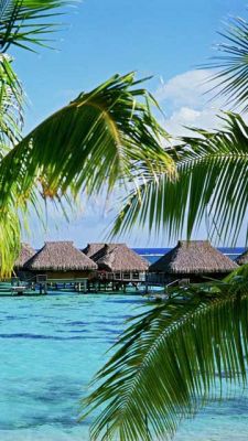Paradis Tropical avec Palmiers