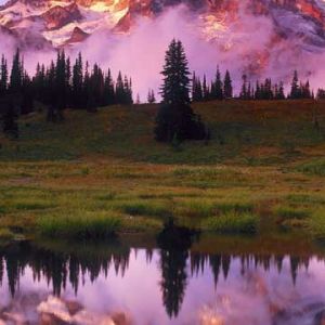 Reflet de Montagne Majestueuse