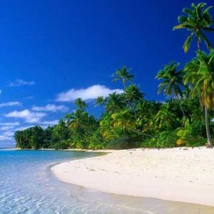 Paradis de Plage Tropicale