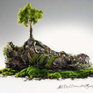 Art de chaussure inspiré par la nature