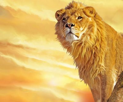 Lion Majestueux au Coucher de Soleil