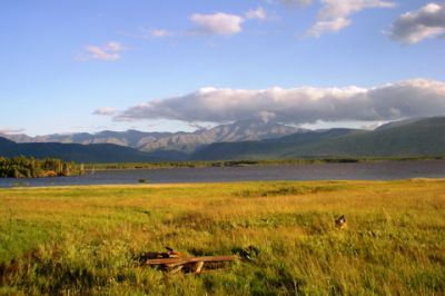 Vue Sereine du Lac de Montagne