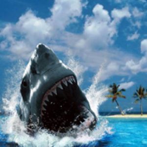 Requin majestueux surgissant de l'eau