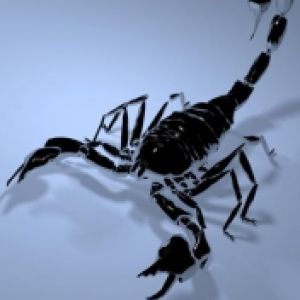 Scorpion Noir Stylisé