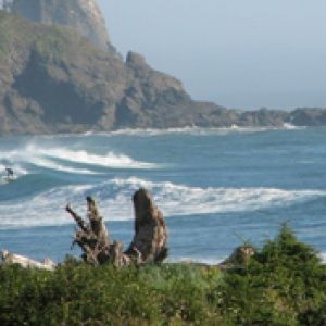 Vagues Océaniques Sereines