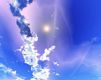 Ciel Magnifique avec Nuages