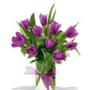 Bouquet de Tulipes Violettes